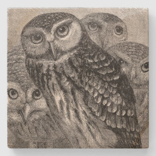 Dessous-de-verre En Pierre Carré vintage de la famille Owl