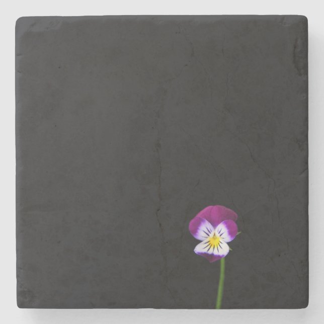 Dessous-de-verre En Pierre Castère de fleurs de violet (Devant)