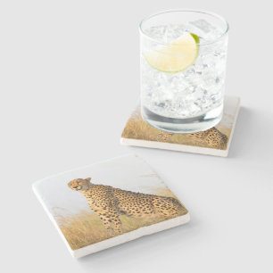 Dessous-de-verre En Pierre Cat lover cheetah photo