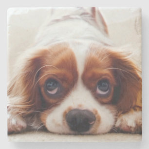 Dessous-de-verre En Pierre Cavalier Charles Spaniel