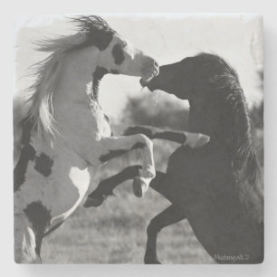 Dessous-de-verre En Pierre Chaman, dessous de verre sauvages d'étalon de