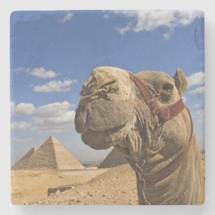 Dessous-de-verre En Pierre Chameau devant les pyramides de Gizeh, Egypte,
