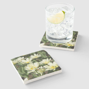 Dessous-de-verre En Pierre Champ de tulipes blanches Photo