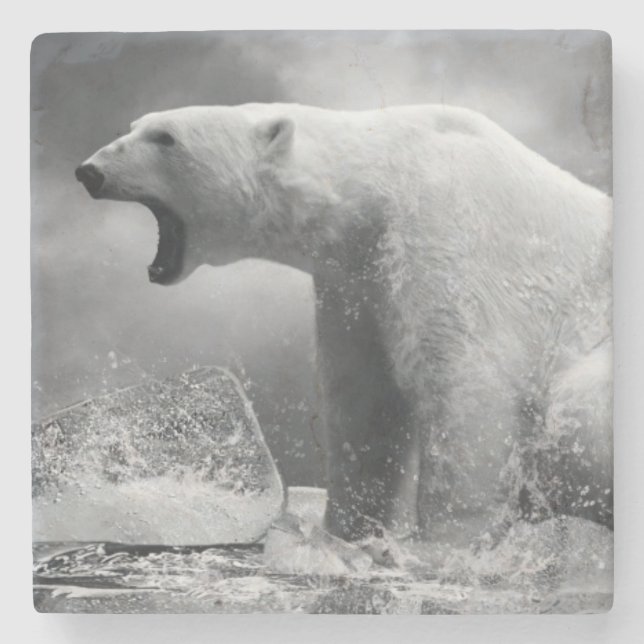 Dessous-de-verre En Pierre Chasseur blanc d'ours blanc sur la glace dans (Devant)