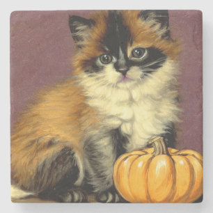 Dessous-de-verre En Pierre Chat d'Halloween Ragdoll vintage