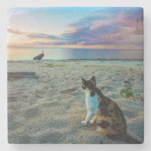 Dessous-de-verre En Pierre Chat se reposant sur une plage