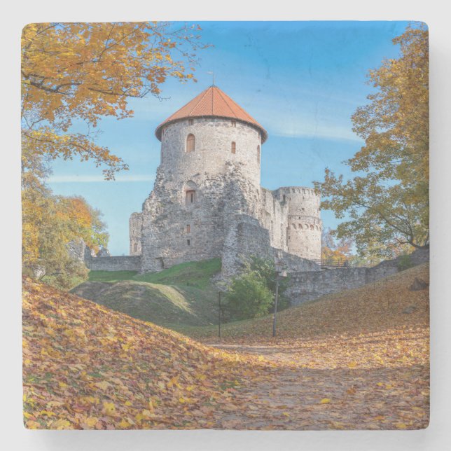 Dessous-de-verre En Pierre Château médiéval entouré de forêt (Devant)