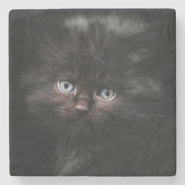 Dessous-de-verre En Pierre Chaton (Devant)