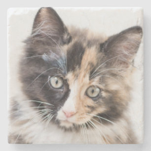 Dessous-de-verre En Pierre Chaton adorable de calicot