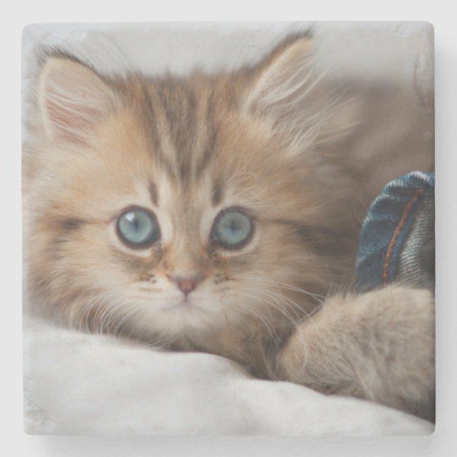 Dessous-de-verre En Pierre Chaton avec des yeux bleus (Devant)