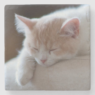 Dessous-de-verre En Pierre Chaton beige et blanc fatigué