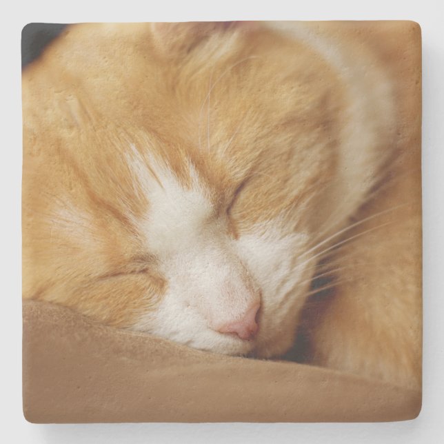 Dessous-de-verre En Pierre Chaton couchant (Devant)