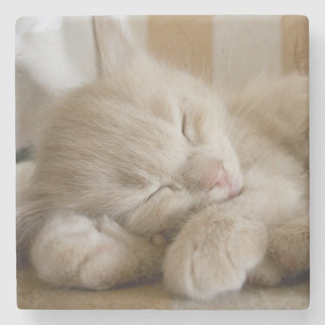 Dessous-de-verre En Pierre Chaton de sommeil (Devant)