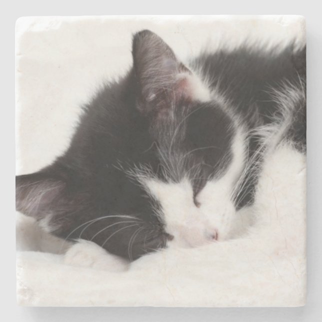 Dessous-de-verre En Pierre Chaton de sommeil (Devant)