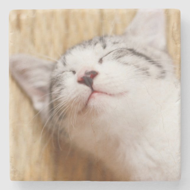 Dessous-de-verre En Pierre Chaton de sommeil (Devant)