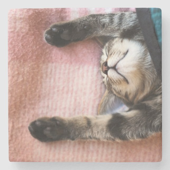 Dessous-de-verre En Pierre Chaton de sommeiller (Devant)
