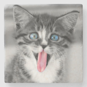Dessous-de-verre En Pierre Chaton drôle
