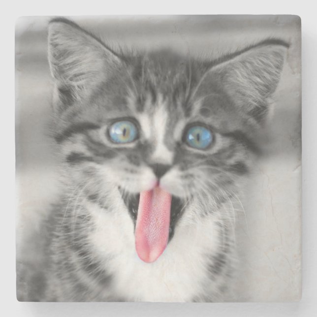 Dessous-de-verre En Pierre Chaton drôle (Devant)