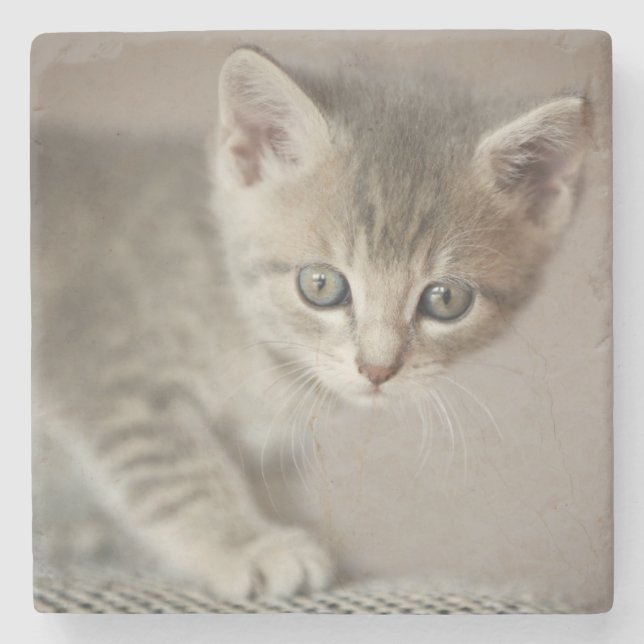Dessous-de-verre En Pierre Chaton minuscule (Devant)
