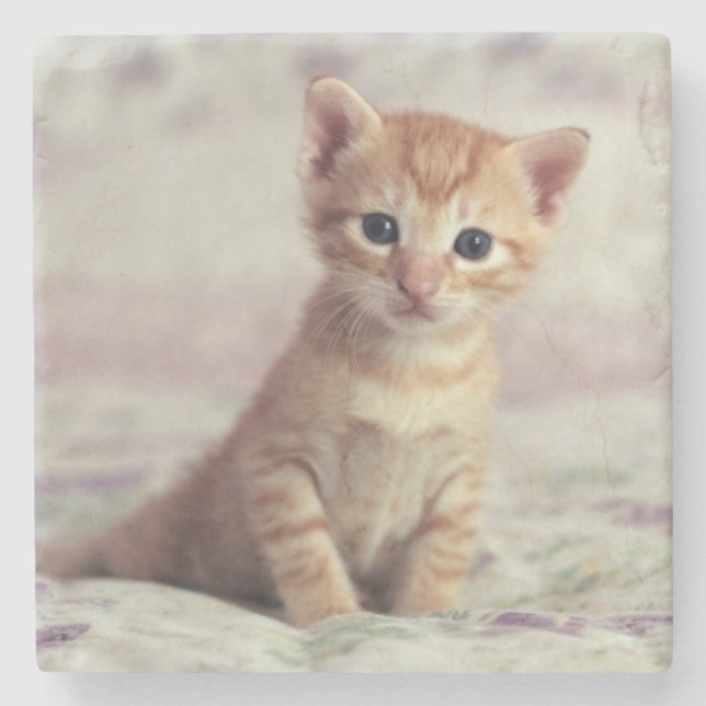 Dessous-de-verre En Pierre Chaton minuscule de gingembre (Devant)