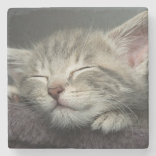 Dessous-de-verre En Pierre Chaton somnolent