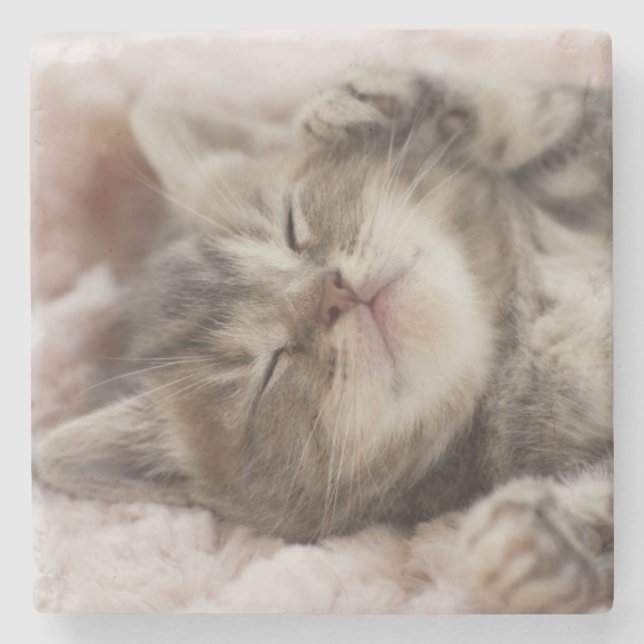 Dessous-de-verre En Pierre Chaton somnolent (Devant)