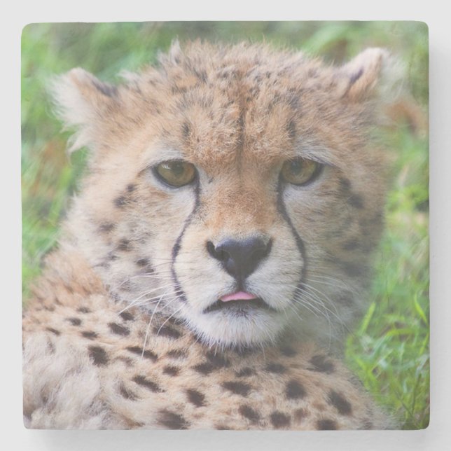 Dessous-de-verre En Pierre Cheetah (Devant)