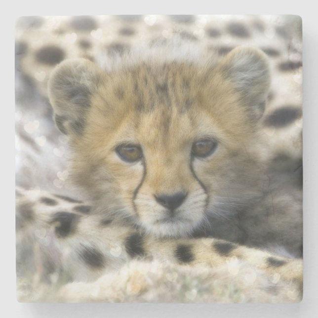 Dessous-de-verre En Pierre Cheetah Cub (Devant)