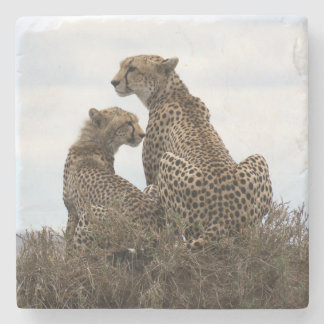 Dessous-de-verre En Pierre Cheetah Mom and Cub (couleur pleine) Dessous de ve