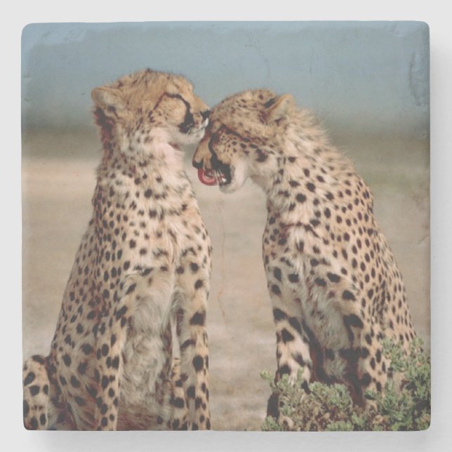 Dessous-de-verre En Pierre Cheetahs (Devant)
