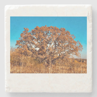 Dessous-de-verre En Pierre Chêne en fer avec Dessous de verre en pierre de so