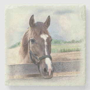 Dessous-de-verre En Pierre Cheval Brown avec le licou