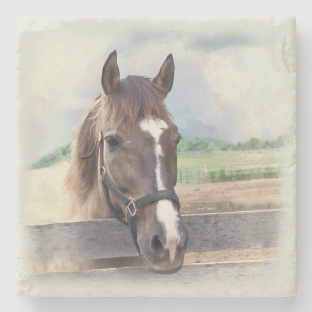 Dessous-de-verre En Pierre Cheval Brown avec le licou (Devant)