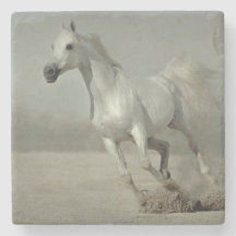 Cheval sauvage fonctionnant librement