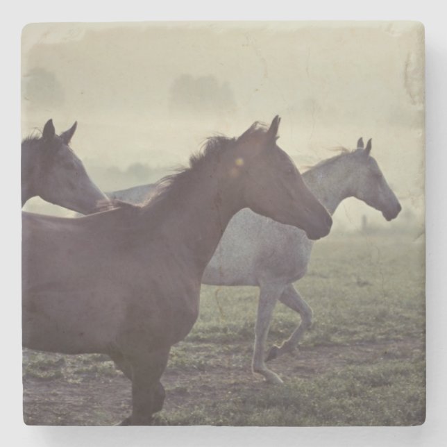 Dessous-de-verre En Pierre Chevaux sauvages (Devant)