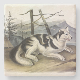 Dessous-de-verre En Pierre Chien d'Amérique (Chien du fleuve Mackenzie) par A