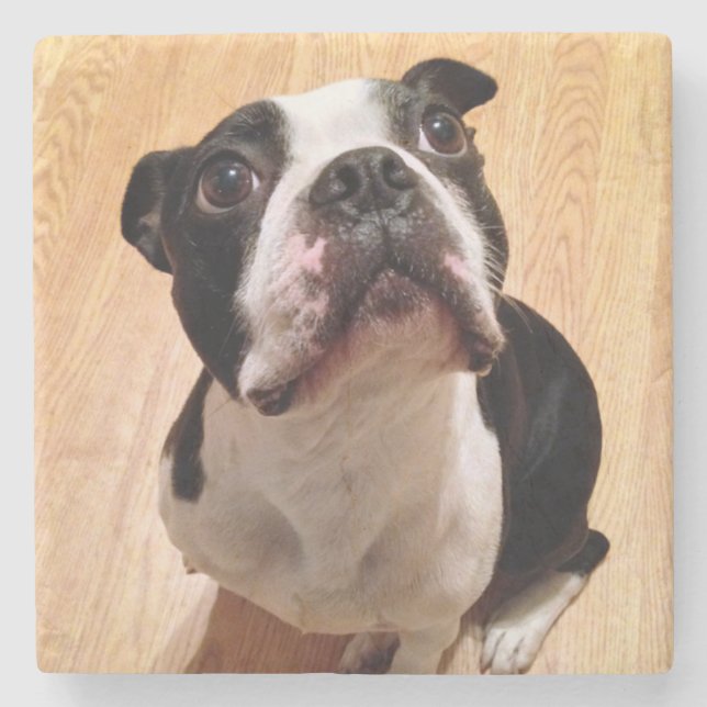 Dessous-de-verre En Pierre Chien de Boston Terrier (Devant)