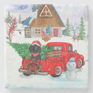 Dessous-de-verre En Pierre Chien de caniche en livraison de Noël Camion Neige