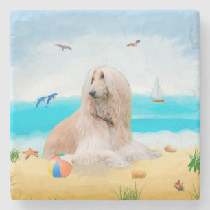Dessous-de-verre En Pierre Chien de chien afghan sur la plage