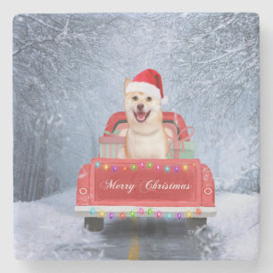 Dessous-de-verre En Pierre Chien de Shiba Inu en neige assis sur un camion de