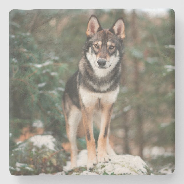 Dessous-de-verre En Pierre Chien-Loup Stone Coaster (Devant)