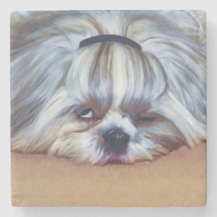 Dessous-de-verre En Pierre Chien somnolent de Shih Tzu