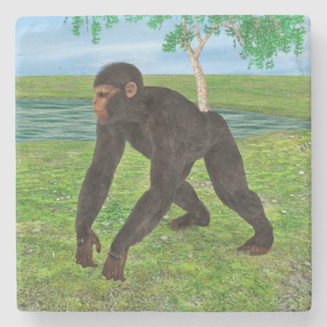 Dessous-de-verre En Pierre Chimpanzé (Devant)