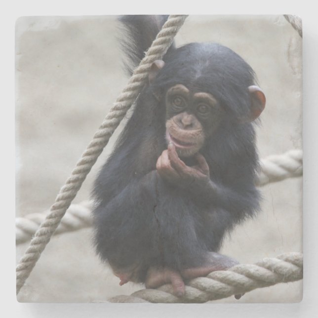 Dessous-de-verre En Pierre Chimpanzé 030 (Devant)