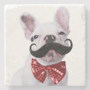 Dessous-de-verre En Pierre Chiot de chien de Taureau de Français avec la