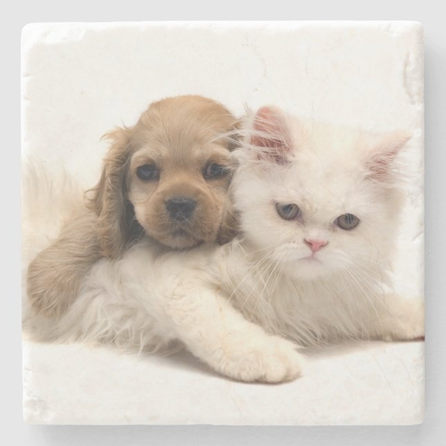 Dessous-de-verre En Pierre Chiot et chaton (Devant)