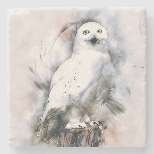 Dessous-de-verre En Pierre Chouette (Devant)