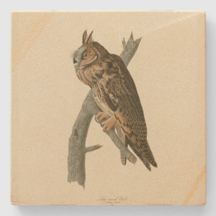 Dessous-de-verre En Pierre Chouette à oreilles des oiseaux d'Amérique d'Audub