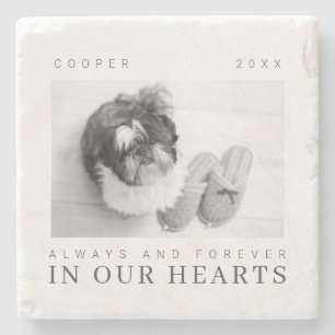 Dessous-de-verre En Pierre Citation Pet Memorial Simple Modern Chic Photo
