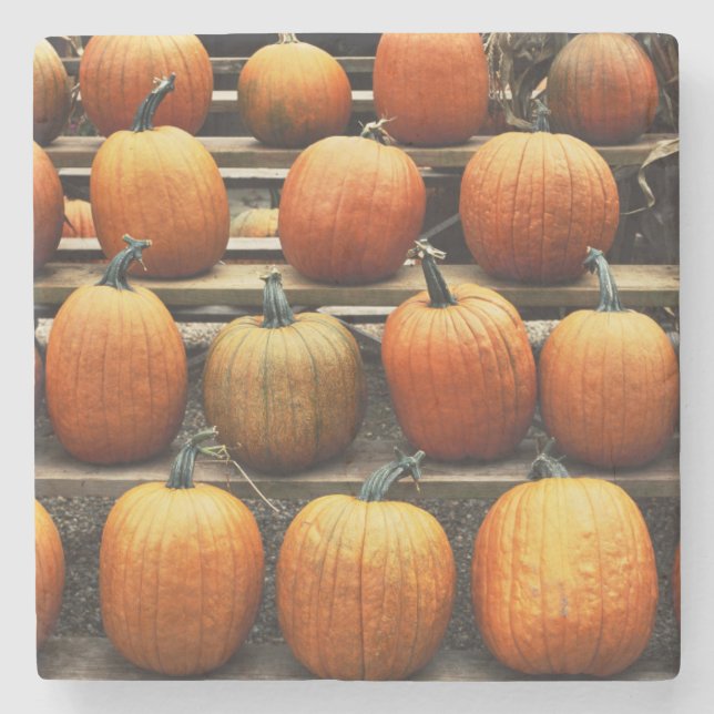 Dessous-de-verre En Pierre Citrouilles d'automne (Devant)